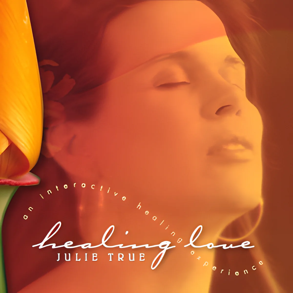 Healing Love - Julie True
