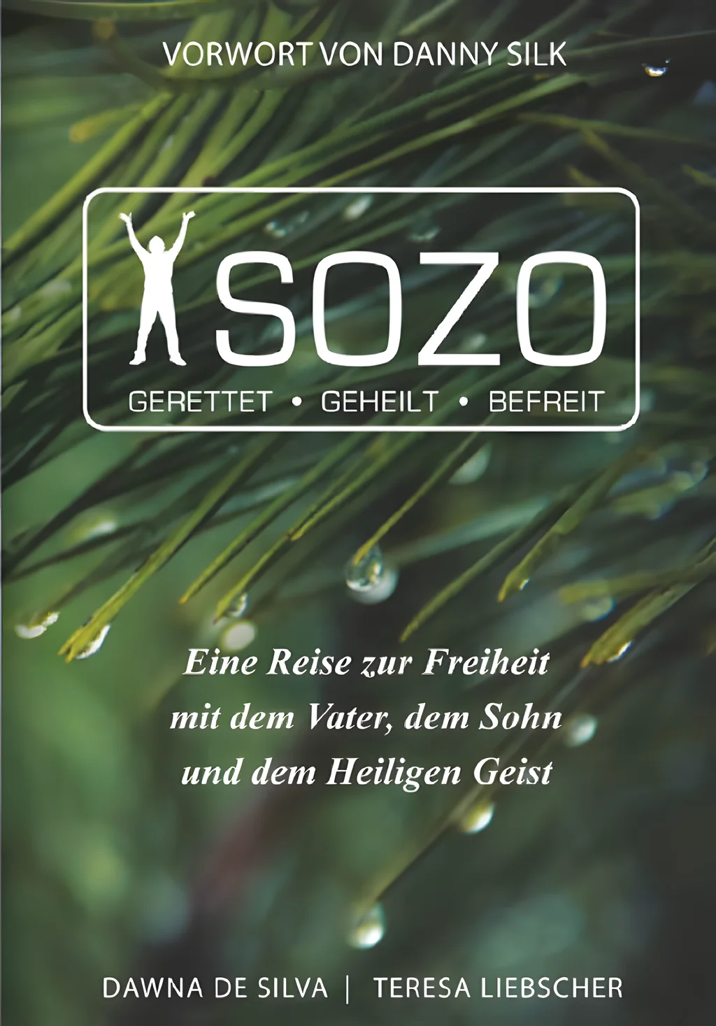Coverbild: SOZO - Gerettet-Geheilt-Befreit