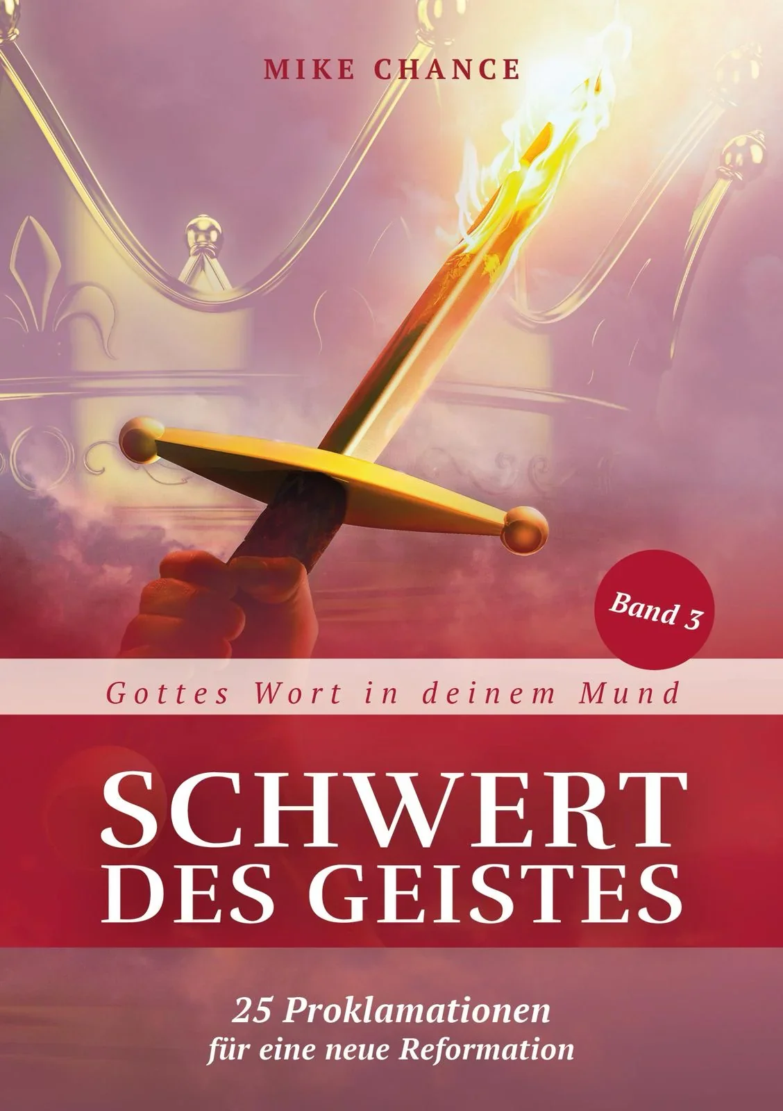Schwert des Geistes Band 3