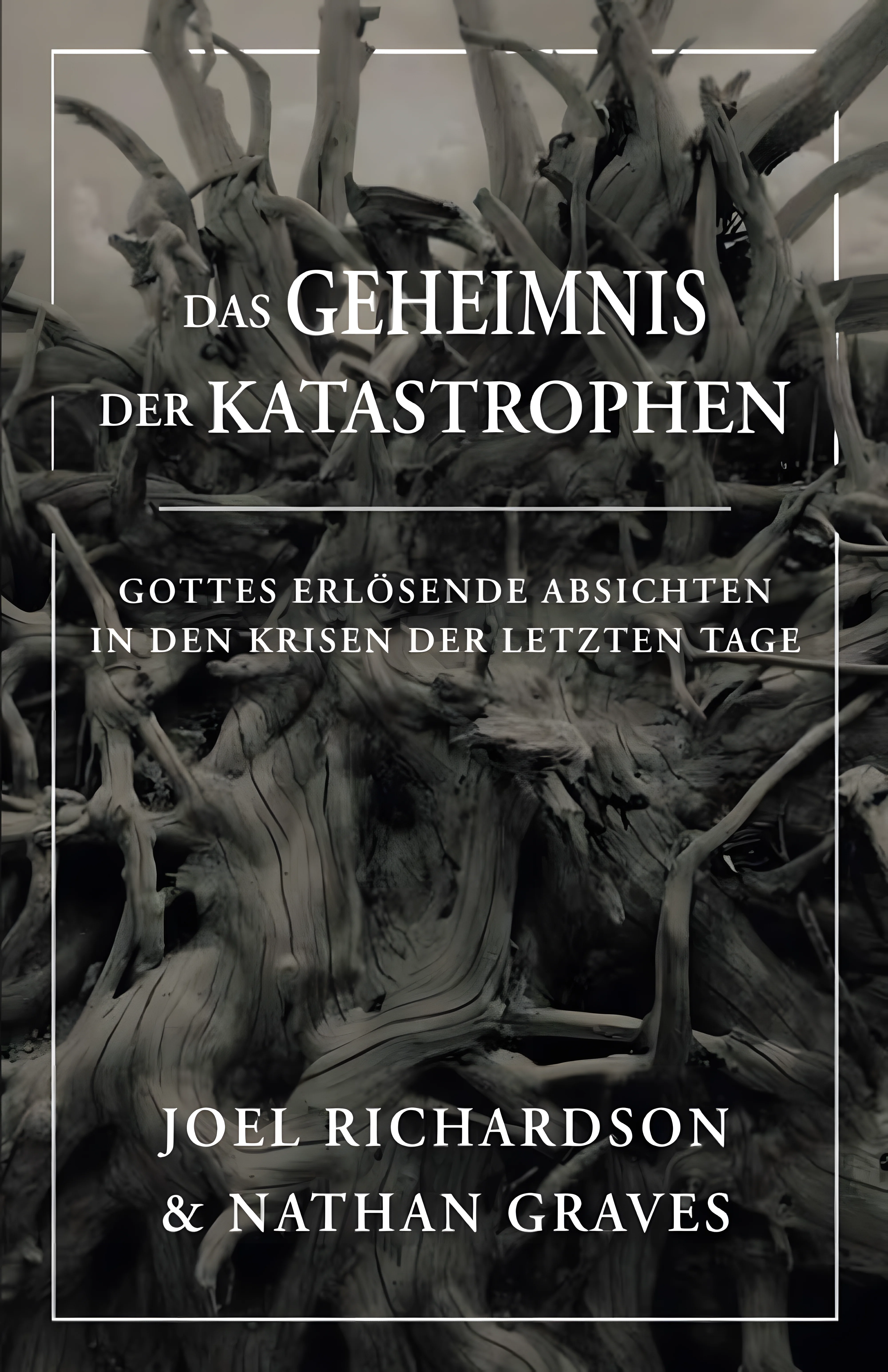 Das Geheimnis der Katastrophen: Gottes erlösende Absichten in den Krisen der letzten Tage