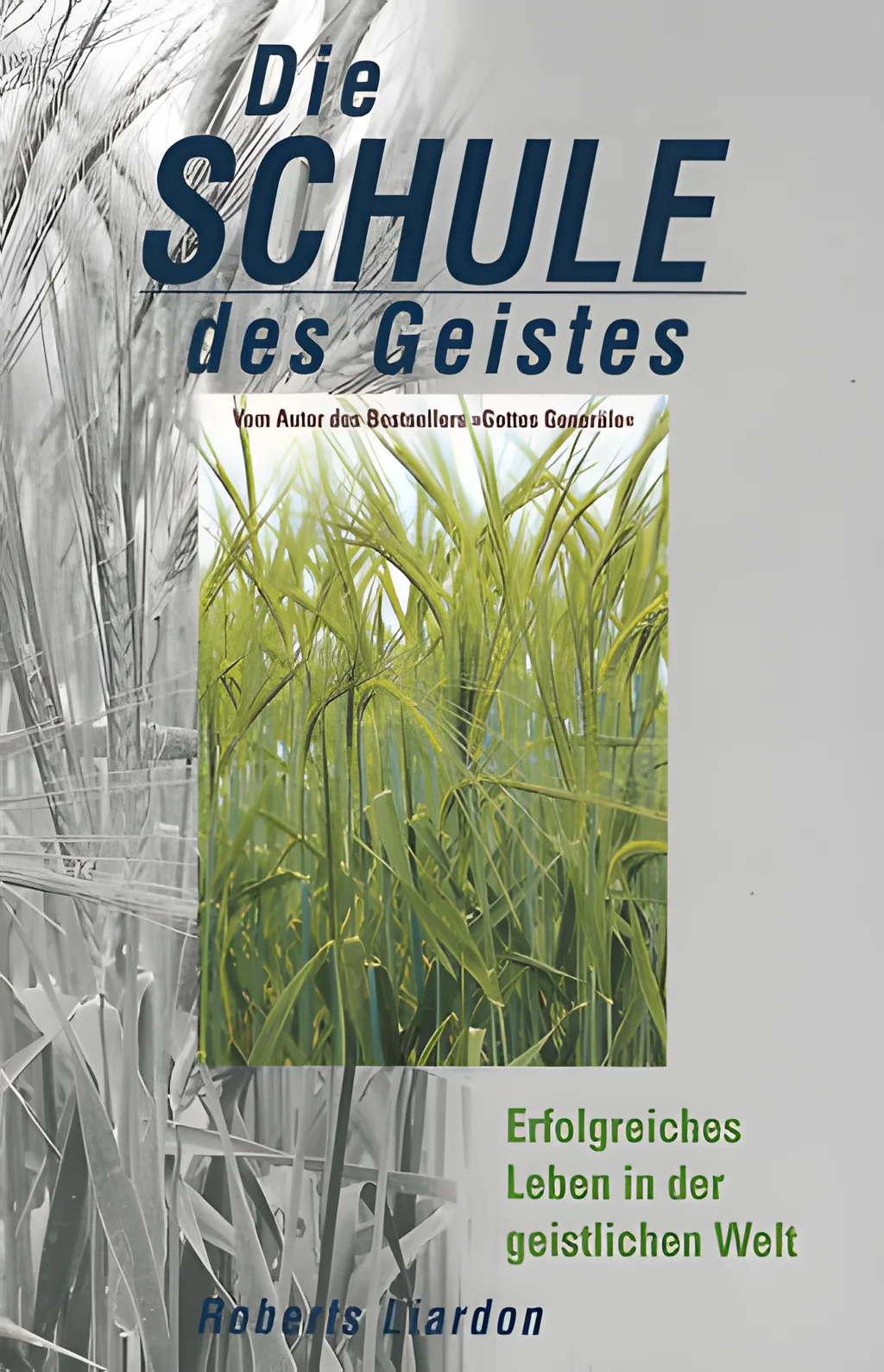 Coverbild: Die Schule des Geistes