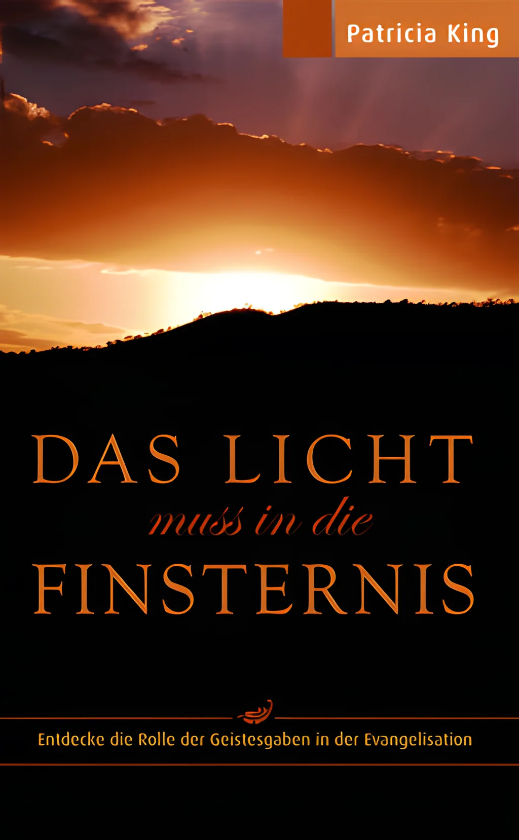 Coverbild: Das Licht muss in die Finsternis