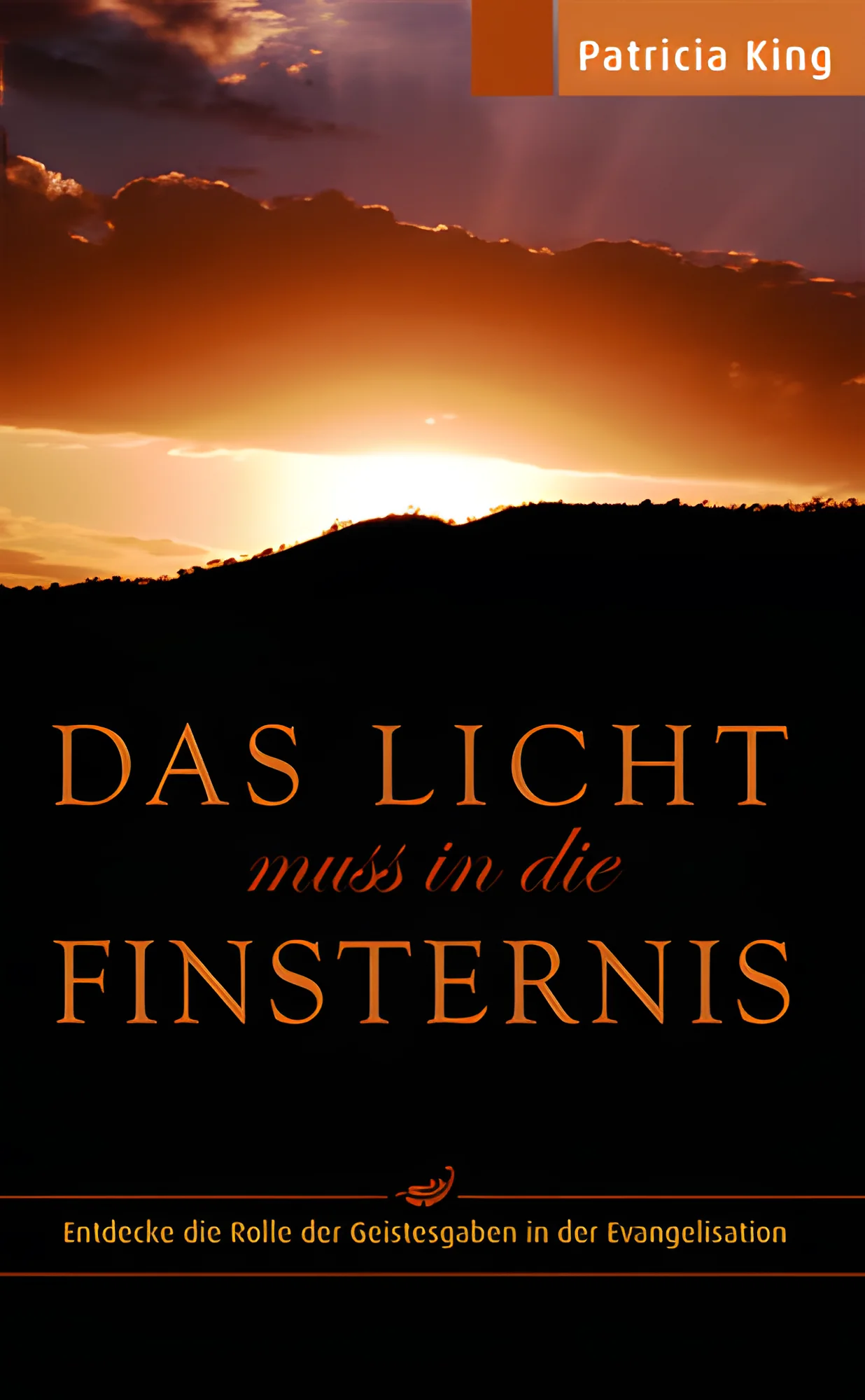 Das Licht muss in die Finsternis