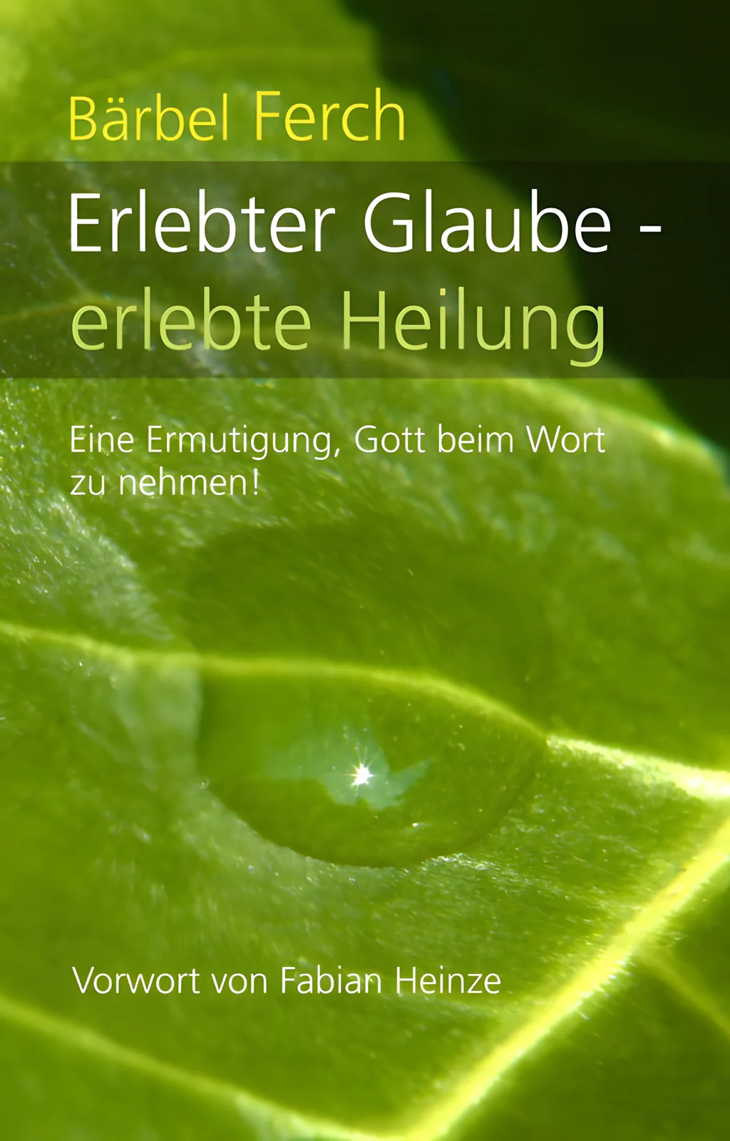 Coverbild: Erlebter Glaube - erlebte Heilung