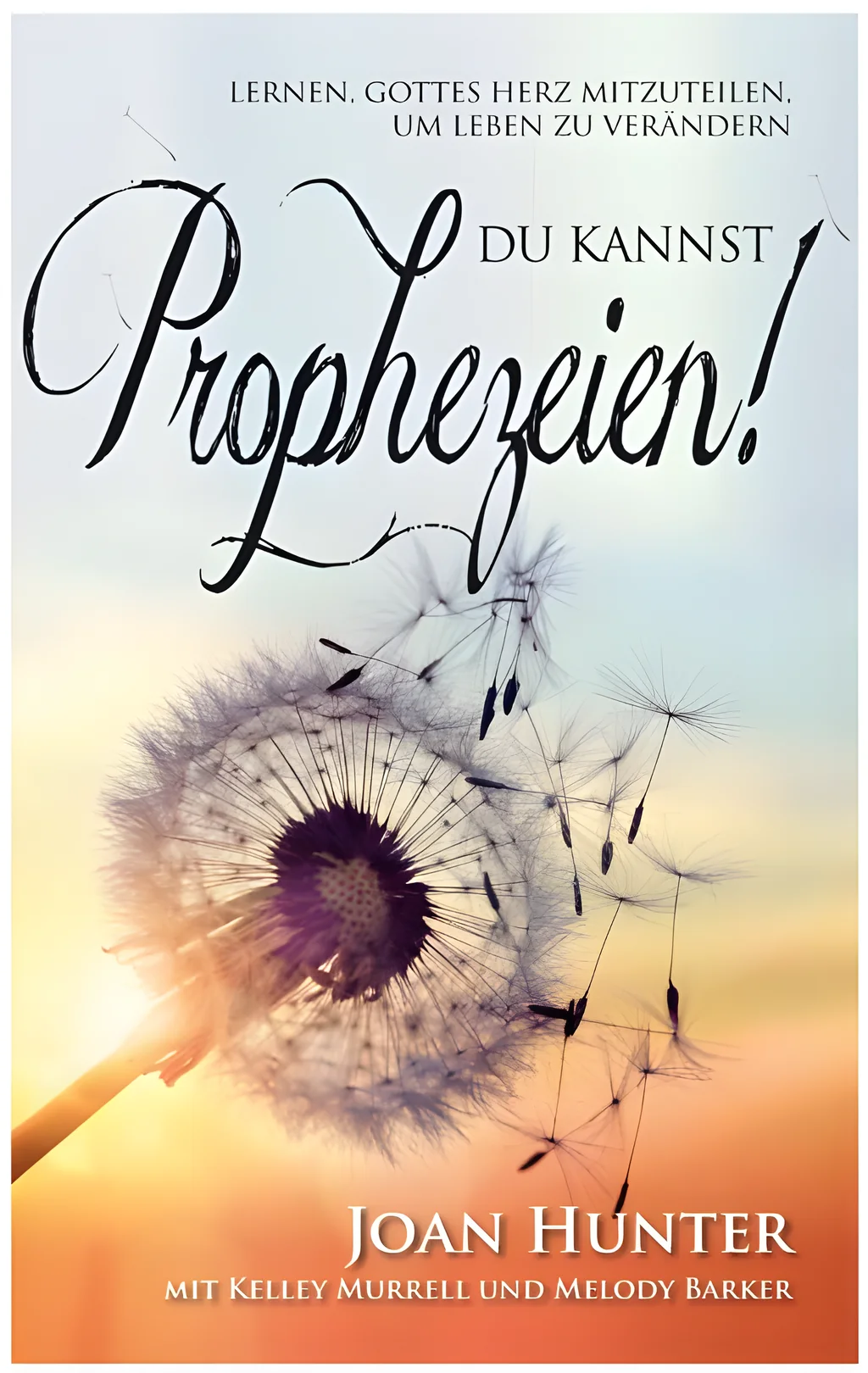 Coverbild: Du kannst prophezeien!