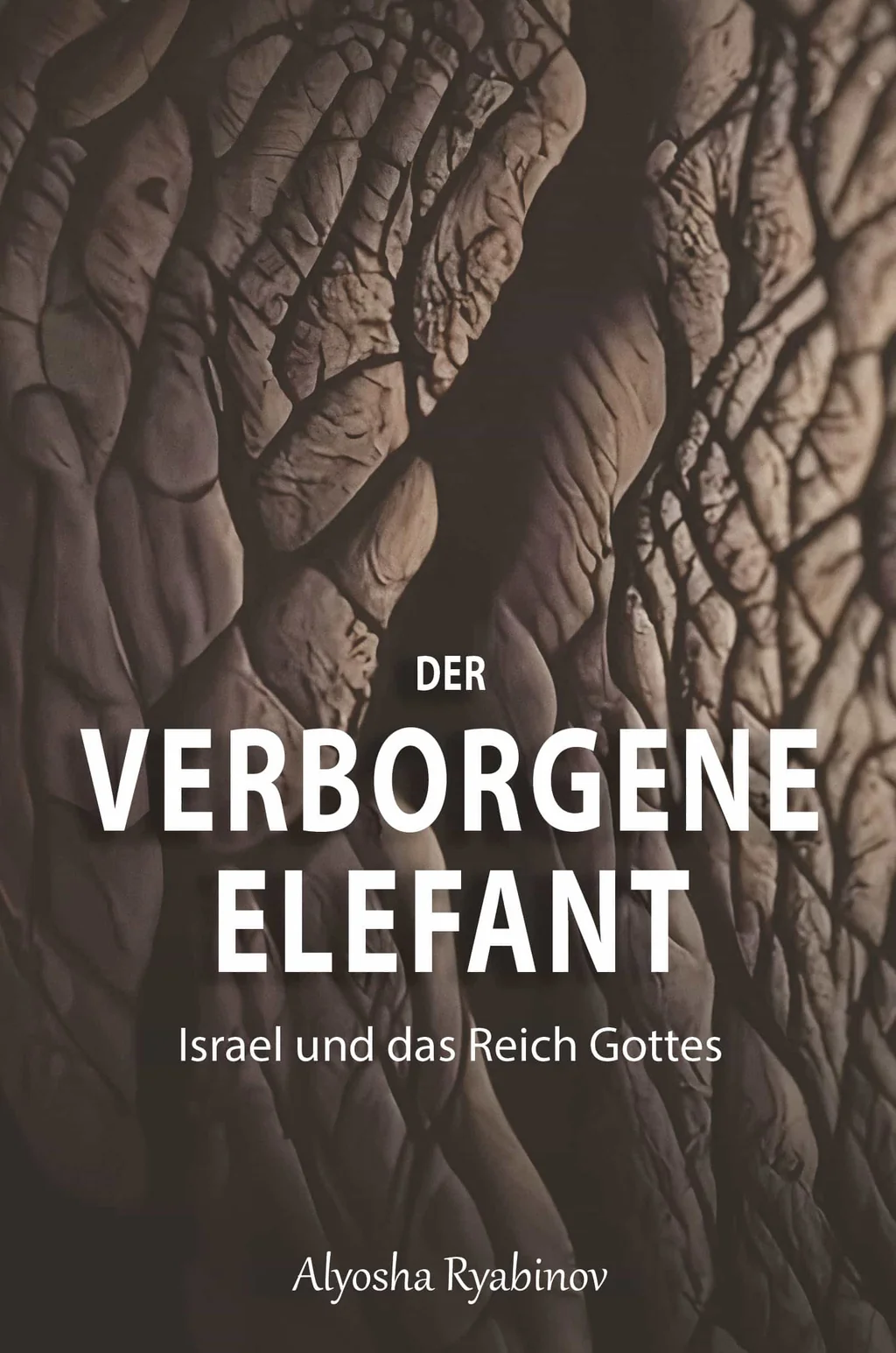 Coverbild: Der verborgene Elefant