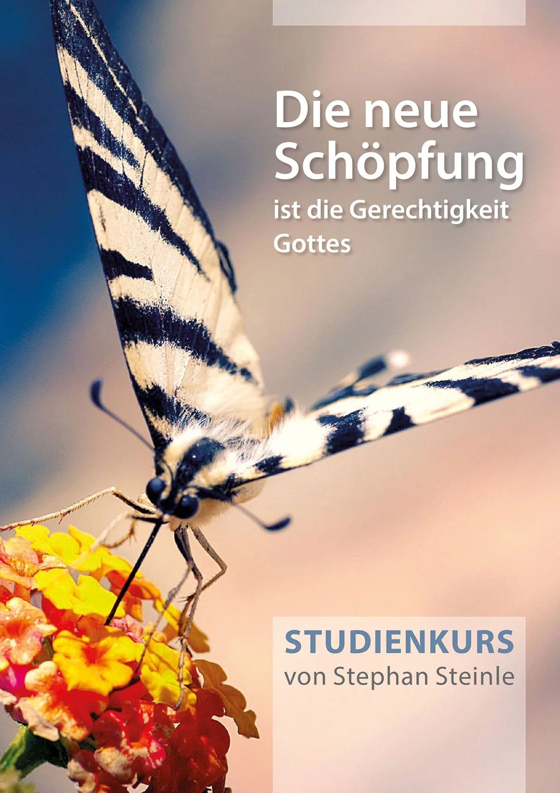 Studienkurs - Die Neue Schöpfung