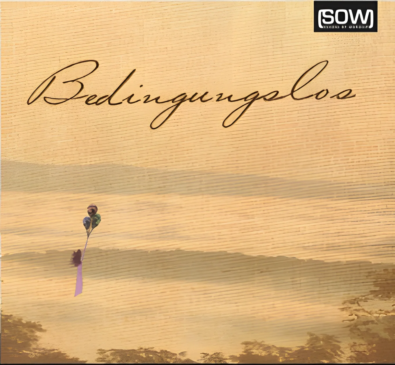 Bedingungslos (CD)