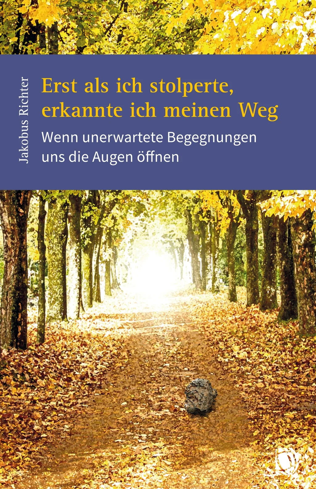 Coverbild: Erst als ich stolperte, erkannte ich meinen Weg