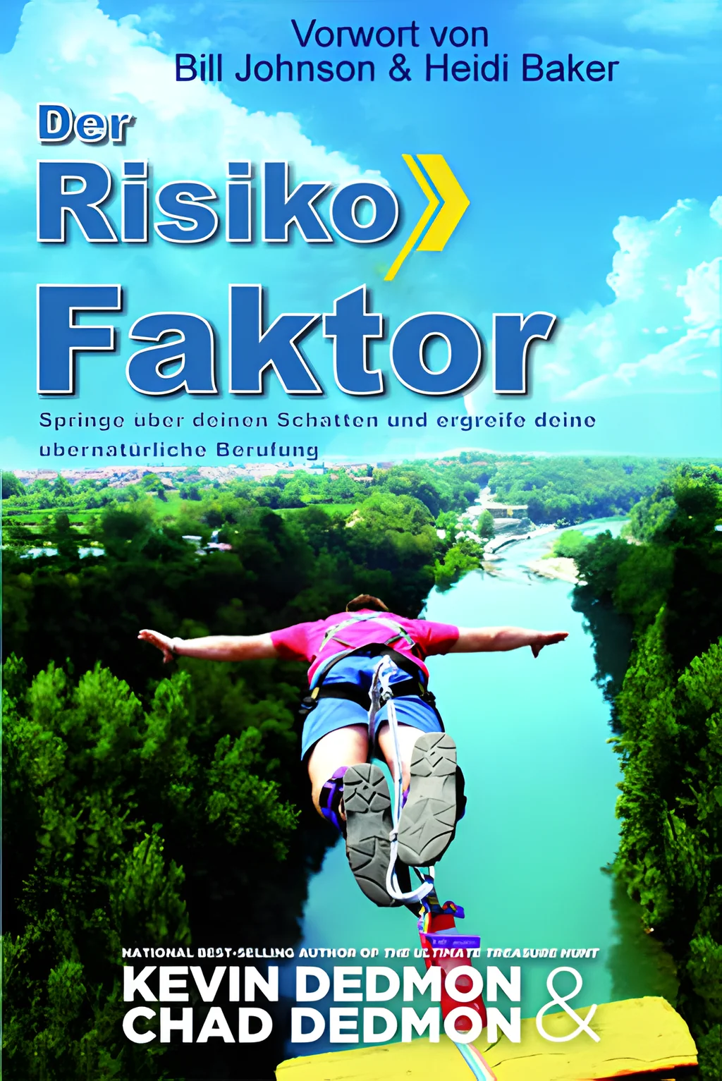 Coverbild: Der Risiko Faktor