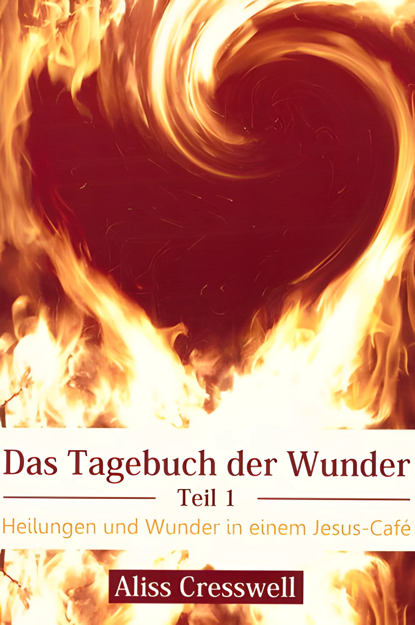Das Tagebuch der Wunder Teil 1
