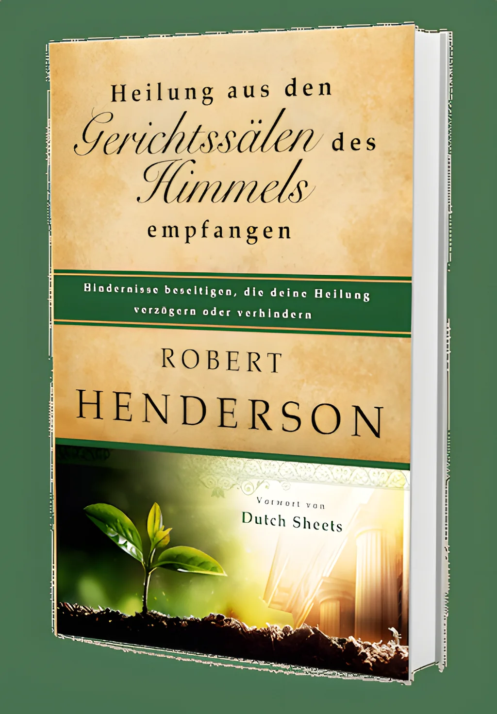 Coverbild: Heilung aus den Gerichtssälen des Himmels empfangen