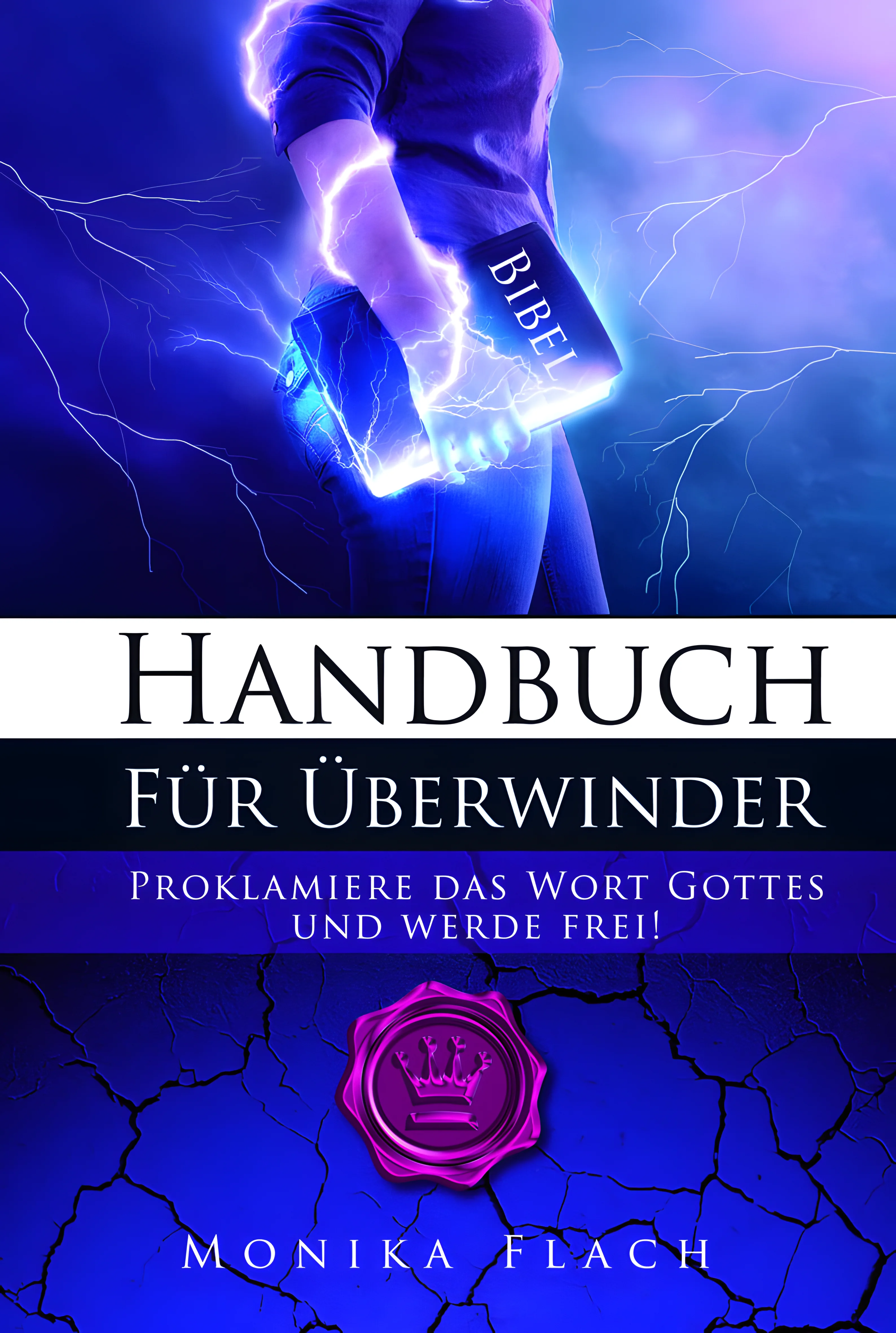 Handbuch für Überwinder - Neuauflage