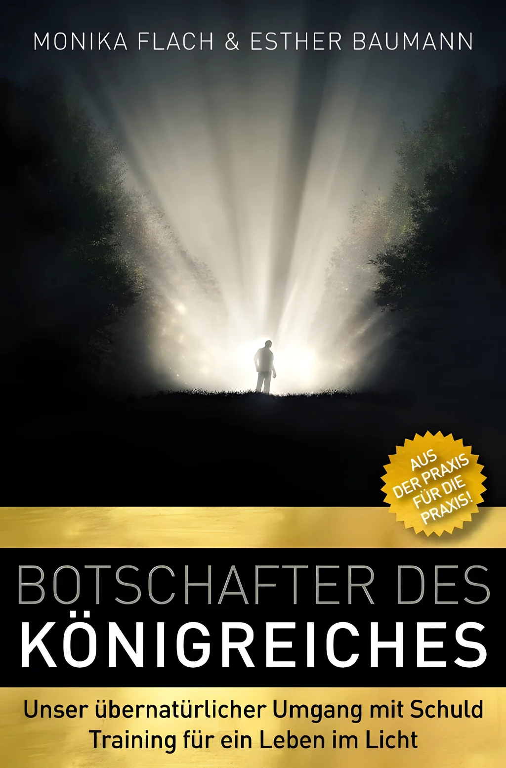 Coverbild: Botschafter des Königreiches