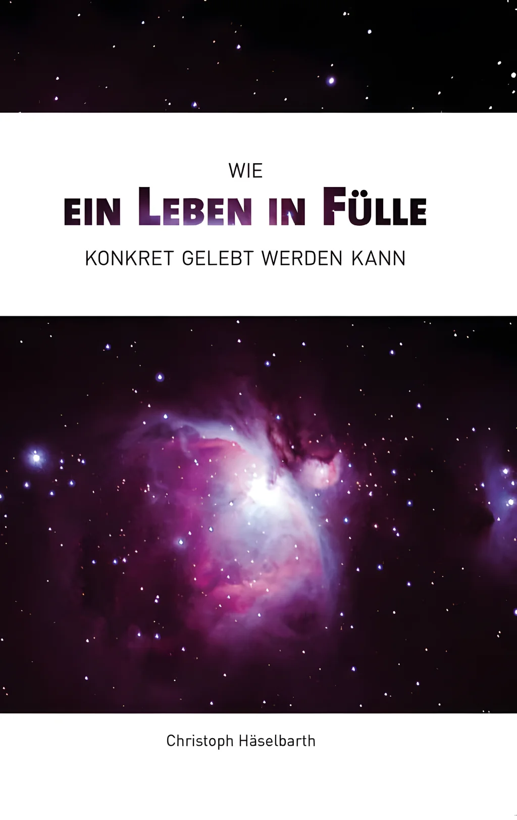 Coverbild: Wie ein Leben in Fülle konkret gelebt werden kann