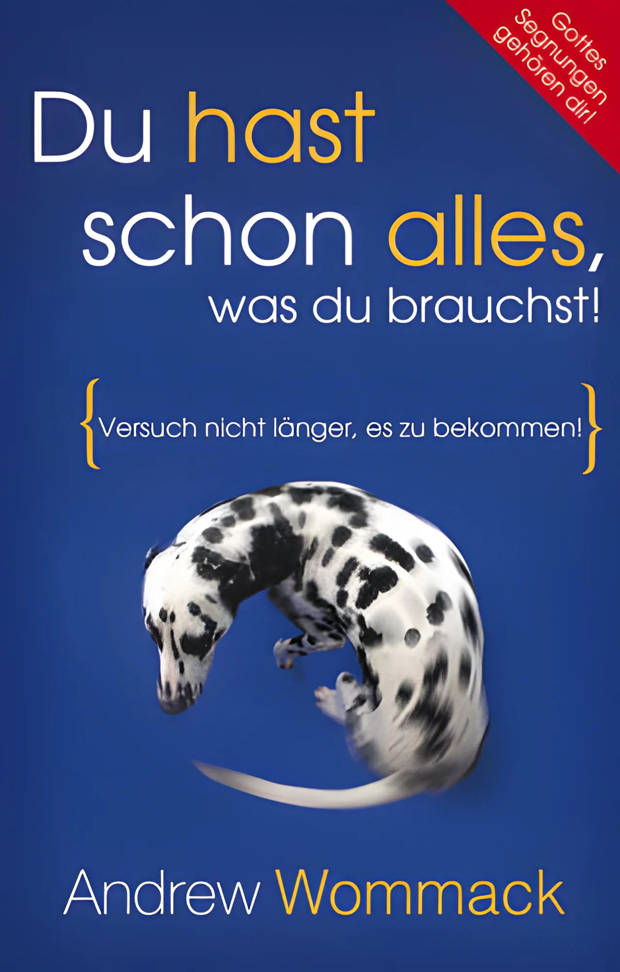 Du hast schon alles, was du brauchst (Versuch nicht länger, es zu bekommen)