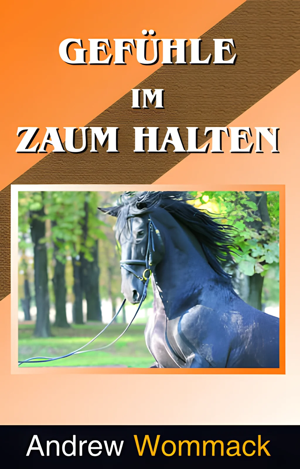 Coverbild: Gefühle im Zaum halten