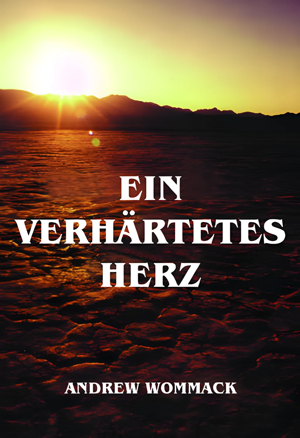Coverbild: Ein verhärtetes Herz