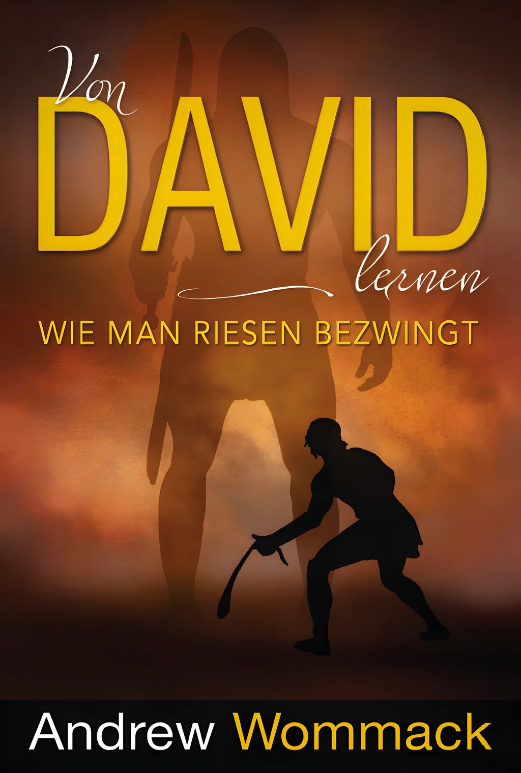 Coverbild: Von David lernen