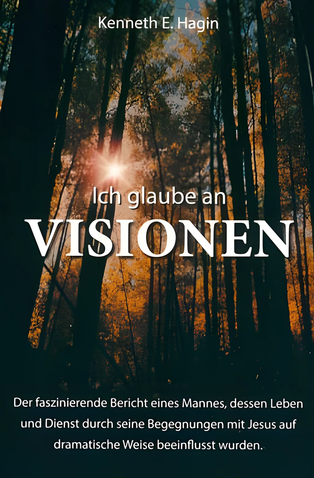 Coverbild: Ich glaube an Visionen
