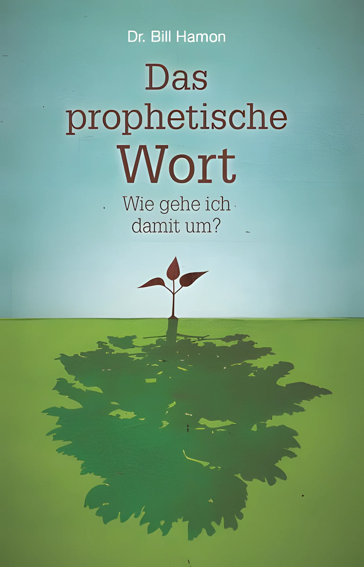Das Prophetische Wort - Wie gehe ich damit um?