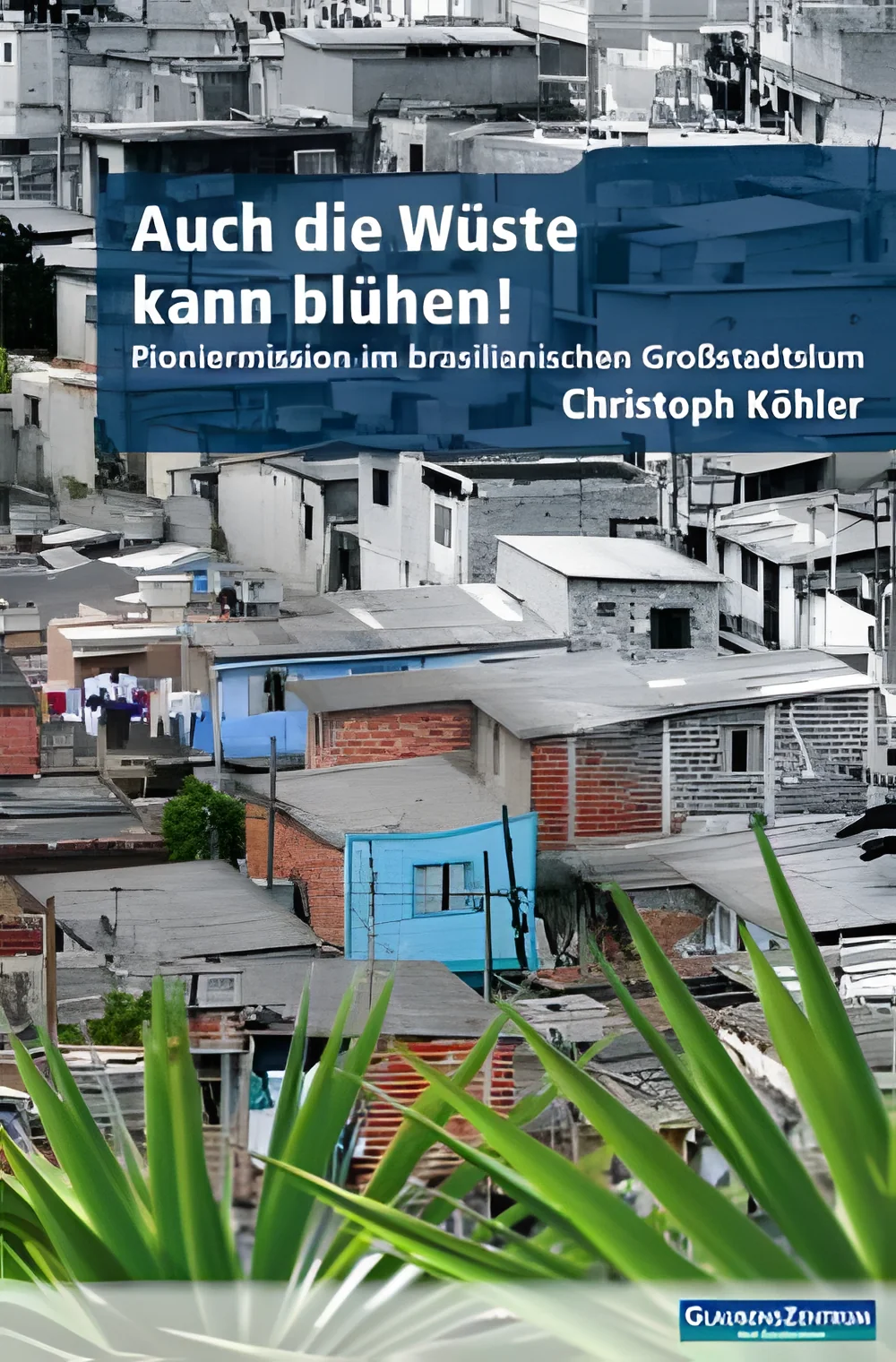 Coverbild: Auch die Wüste kann blühen!