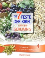 Cover Schawuot - Das Wochenfest (Pfingsten) - Band 4