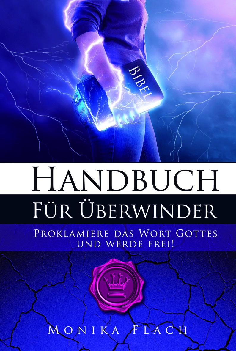 Cover HANDBUCH FÜR ÜBERWINDER Cover HANDBUCH FÜR ÜBERWINDER