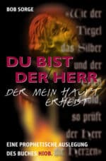Buchcover Du bist der Herr, der mein Haupt erhebt von Sorge, Bob aus Type and Print Verlag